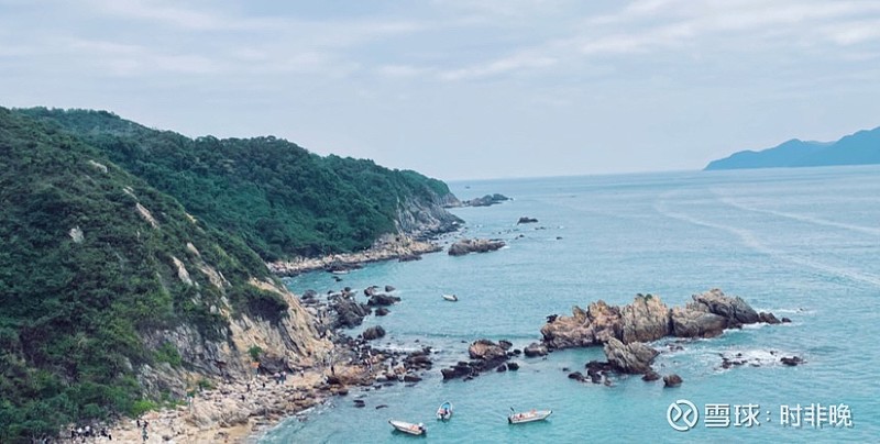 梅州海关供港澳活猪远程检疫监装模式正式启动